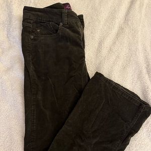 Gloria Vanderbilt Courdoroys